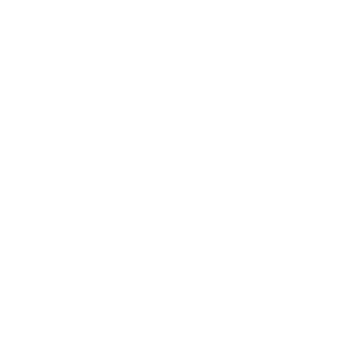 WS Editore